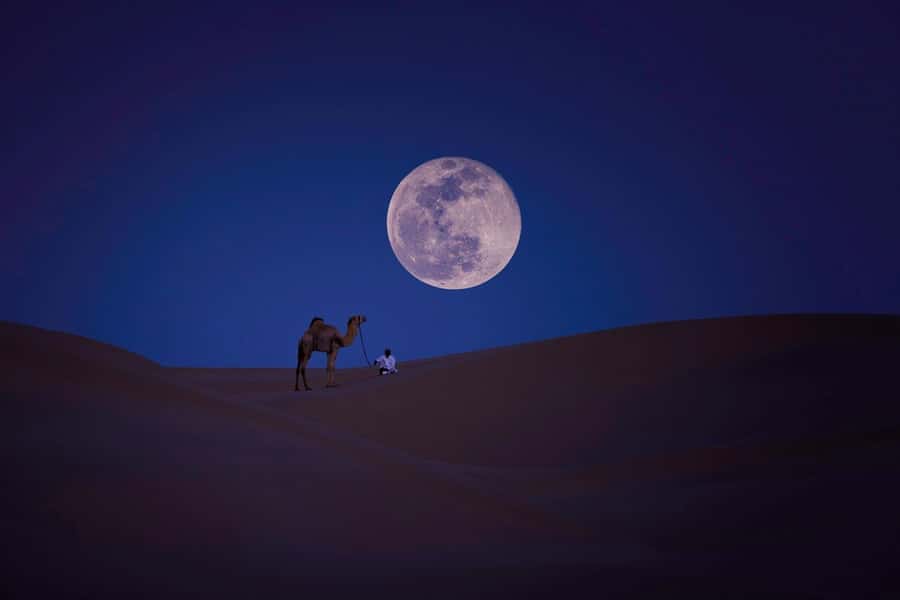 Qatar: Night Desert Safari| Camel Ride| Inland Sea Beach - Mesaieed brings the first taste of the desert
