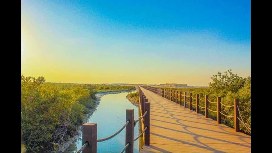 Qatar:North Tour, Purple island, zubara Fort, Jumail village - Comfort, walking, and what to pack