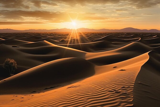 Qatar: Sunrise or Sunset Desert Tour in Doha, unforgettable trip - What the $87.50 price really covers