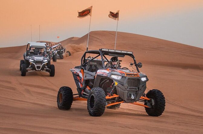 Qatar: Sunrise or Sunset Desert Tour in Doha, unforgettable trip - What to bring and how to choose sunrise or sunset