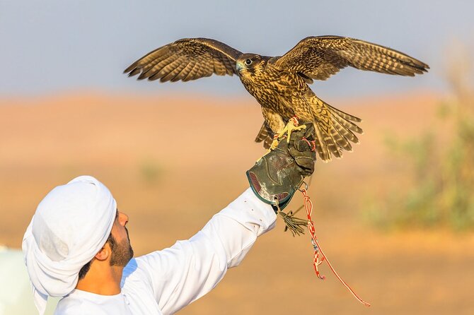 Qatar: Sunrise or Sunset Desert Tour in Doha, unforgettable trip - Who will enjoy this desert outing most