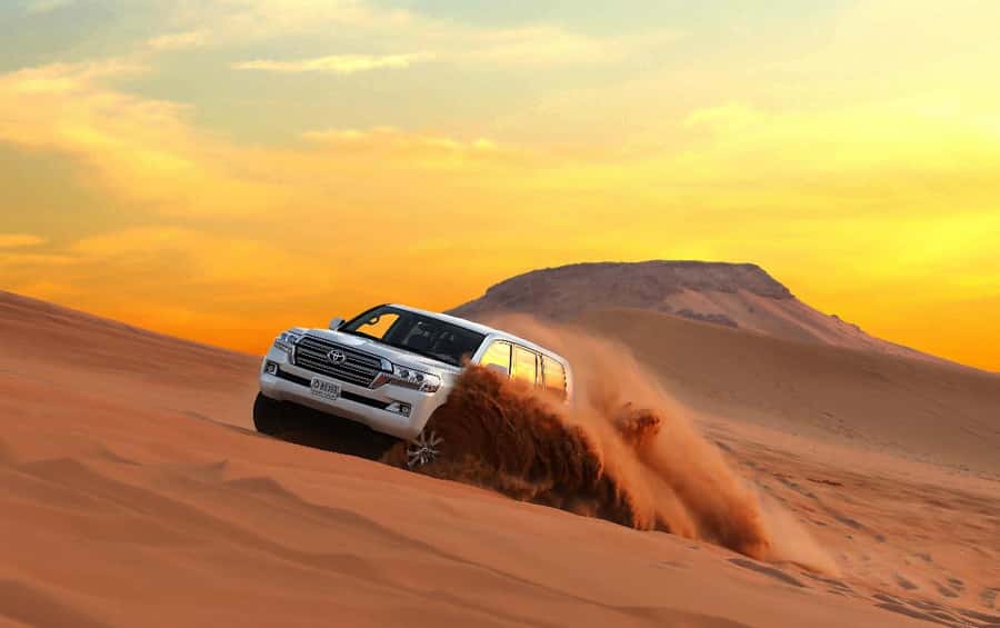 Quad Bike/Buggy, Desert Safari, Camel Ride, Dune Bashing - Key points before you book