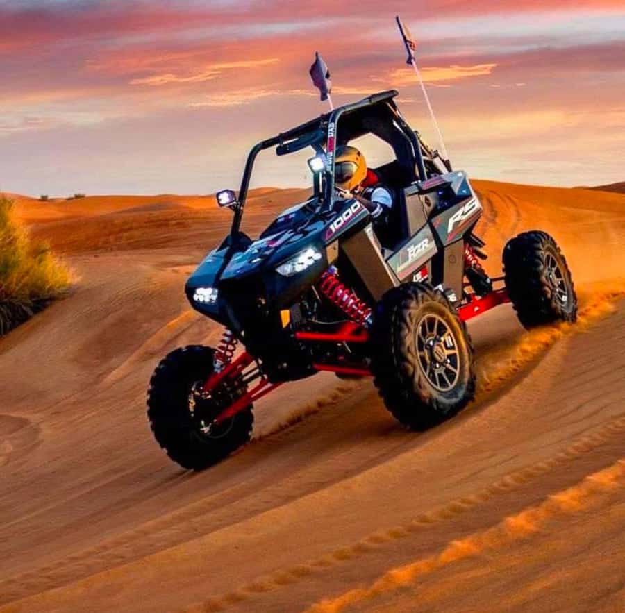Quad Bike/Buggy, Desert Safari, Camel Ride, Dune Bashing - Is $43 a fair price?