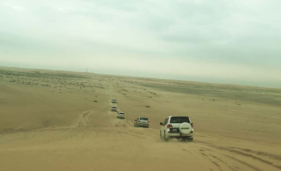 Relax Desert Safari, Sand Dune Bashing (Private Safari) - Key points to know before you book