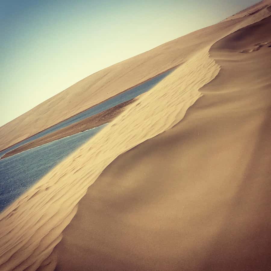 Relax Desert Safari, Sand Dune Bashing (Private Safari) - What the $48 price gives you