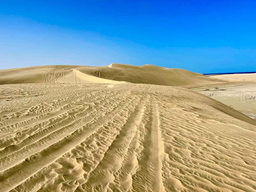 Relax Desert Safari, Sand Dune Bashing (Private Safari) - Should you book it?