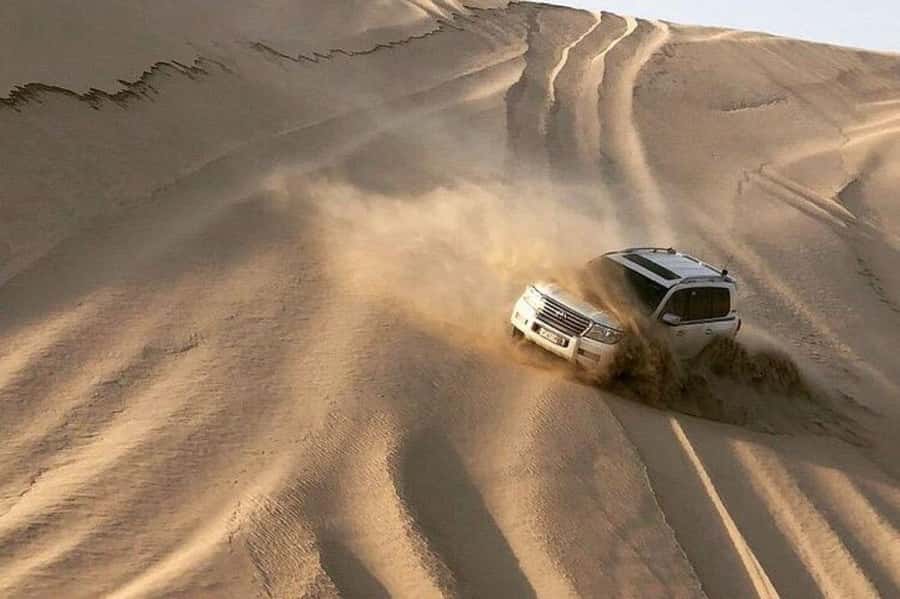 Relax Desert Safari, Sand Dune Bashing (Private Safari) - Sealine Beach and the optional camel stop