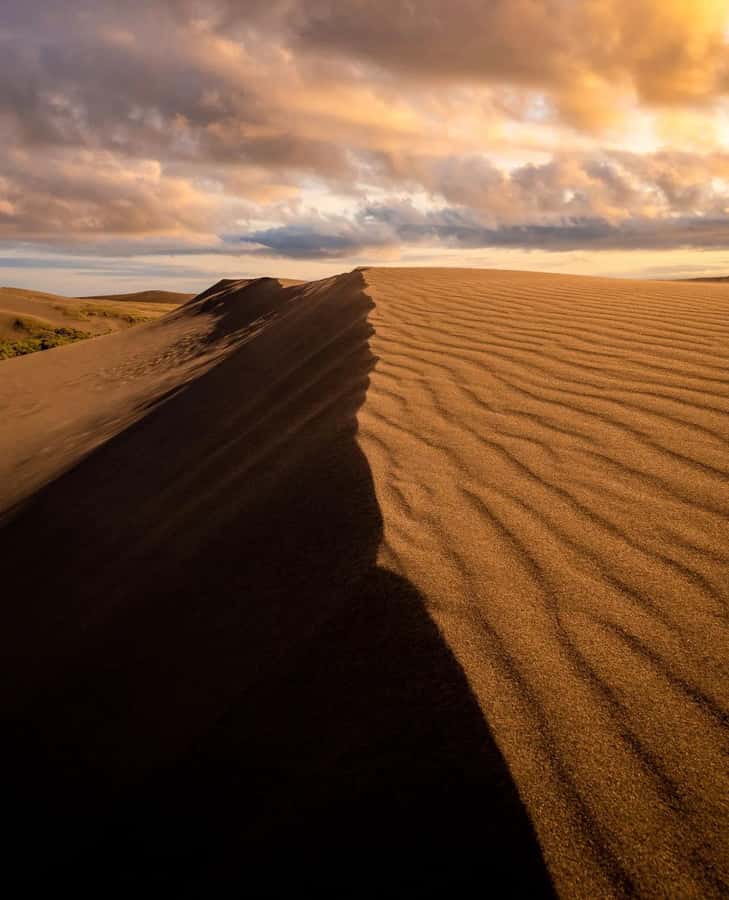Relax Inland Sea Tour, Desert Safari, Camel Ride, SandBoard - Sandboarding on Qatar’s high dunes