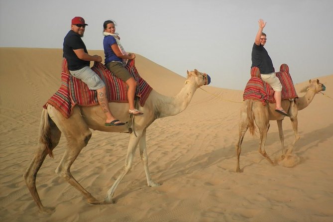 Sharing or Private Safari, Sand Boarding, Camel Ride, inland Sea Quick swim - A half-day escape from Doha