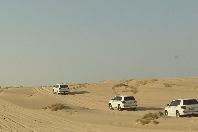 Sharing or Private Safari, Sand Boarding, Camel Ride, inland Sea Quick swim - Mesaieed and the approach to Sealine Beach