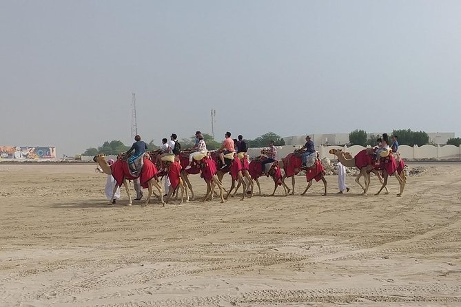 Sharing or Private Safari, Sand Boarding, Camel Ride, inland Sea Quick swim - Sandboarding from the dunes