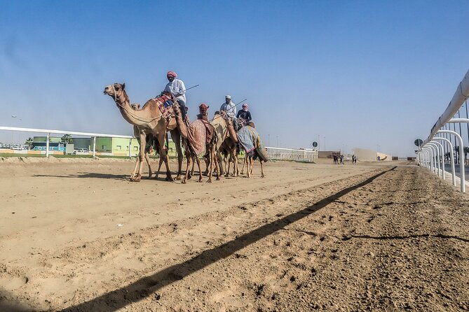 Sheikh Faisal, Camel Race Track visit - Is the $137.62 price fair?
