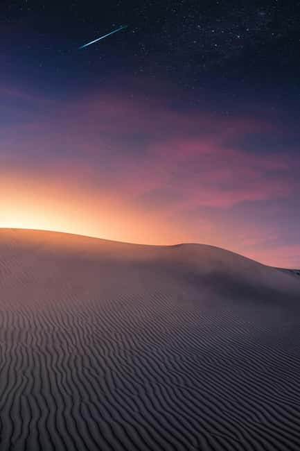 Star Studded Night Desert Safari Doha Qatar - Key points at a glance