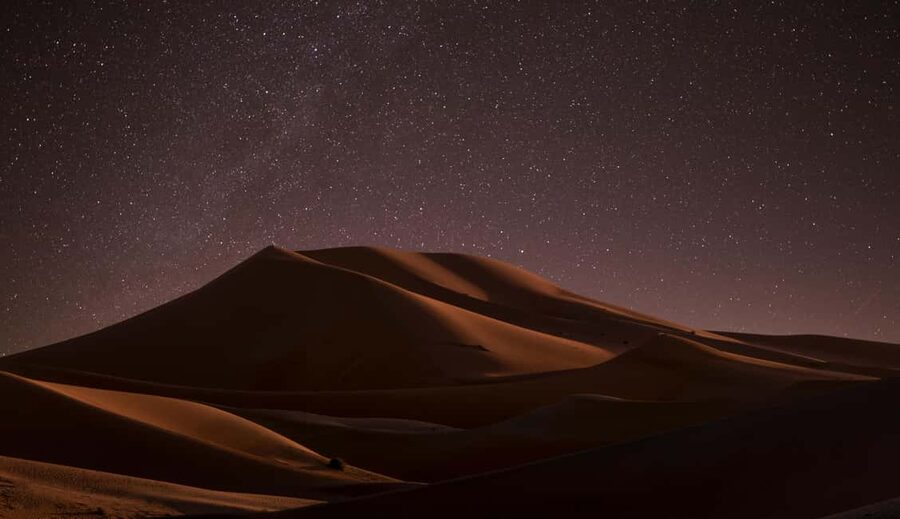 Star Studded Night Desert Safari Doha Qatar - Camel riding and tea before the fast part
