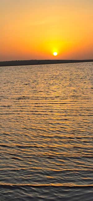 Sunrise or Sunset desert Safari with Sandboarding in Qatar - Key points to know before booking