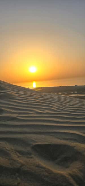 Sunrise or Sunset desert Safari with Sandboarding in Qatar - Dune bashing brings the main burst of excitement