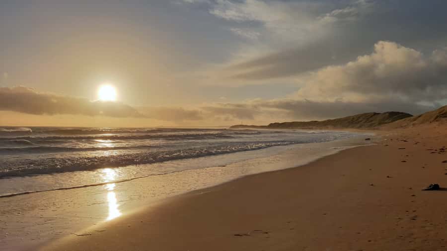 Sunrise : Privare Dune Bashing, Camel Ride & Sandboarding - Why a sunrise start makes this desert trip special