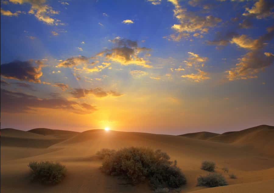Sunrise : Privare Dune Bashing, Camel Ride & Sandboarding - Ninety minutes of dune bashing