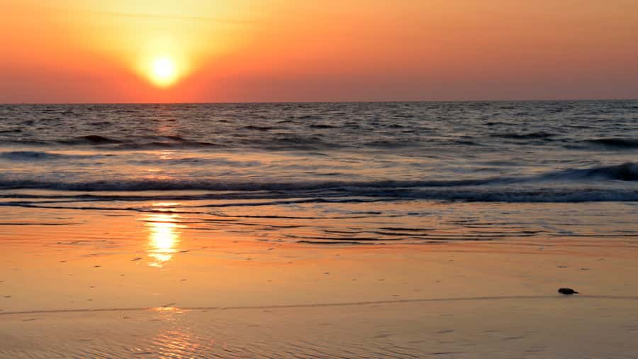 Sunrise : Privare Dune Bashing, Camel Ride & Sandboarding - Sandboarding at sunrise