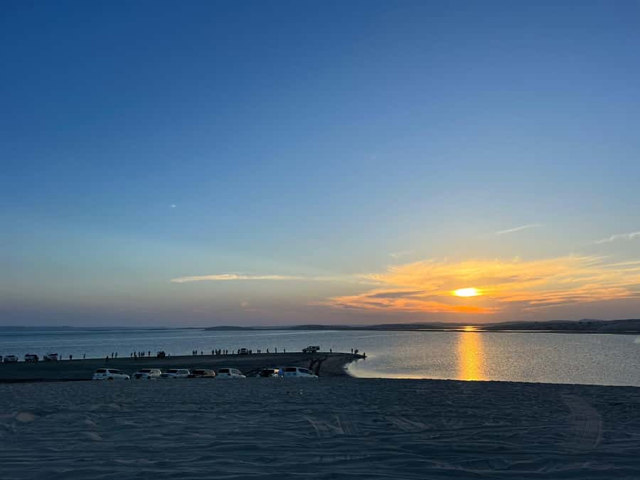 Sunrise : Privare Dune Bashing, Camel Ride & Sandboarding - The optional camel ride at Sealine Beach Resort