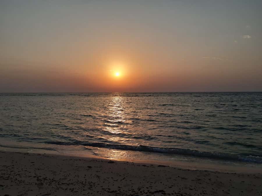 Sunrise : Privare Dune Bashing, Camel Ride & Sandboarding - What the $30 price really buys you
