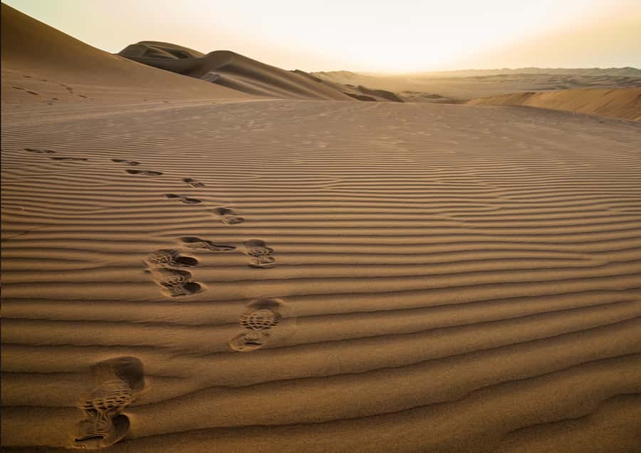 Sunrise : Privare Dune Bashing, Camel Ride & Sandboarding - Safety, comfort, and practical preparation