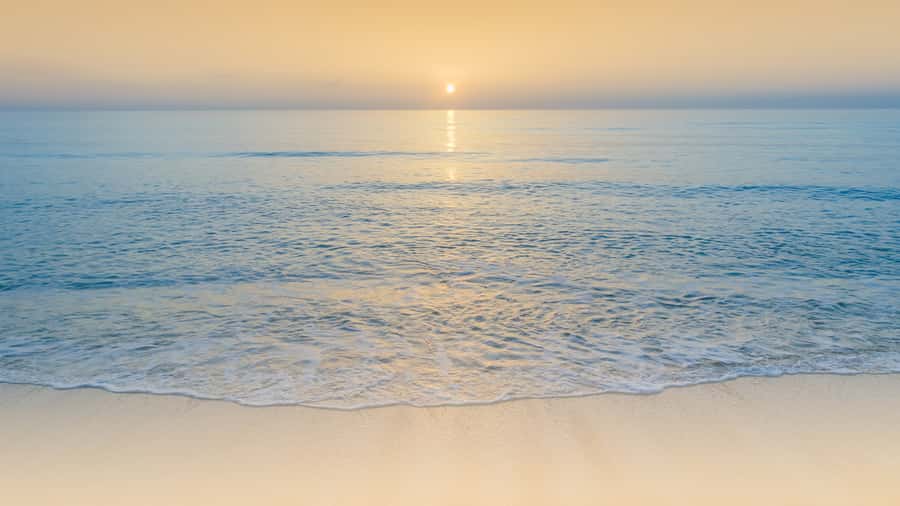 Sunrise : Privare Dune Bashing, Camel Ride & Sandboarding - Who will enjoy this four-hour safari