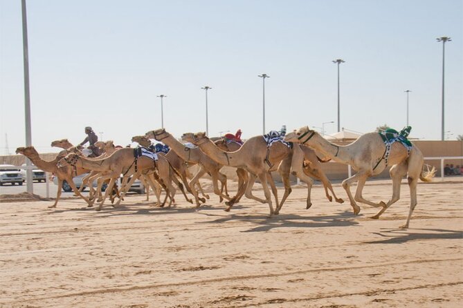 Sunset Keshta at Zekreet | Art, Adventure & Arabian Picnic - What the private format means for you