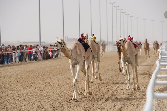 Sunset Keshta at Zekreet | Art, Adventure & Arabian Picnic - Who will enjoy this experience most