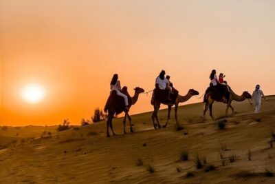 Thrilling 4-Hour Dune Bashing & Camel Ride Safari to Inland Sea