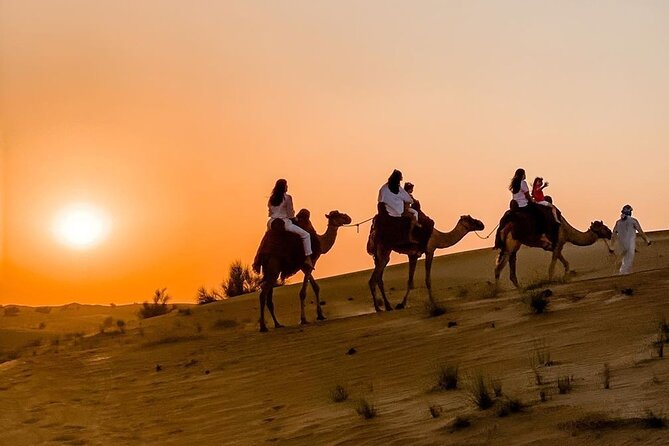 Thrilling 4-Hour Dune Bashing & Camel Ride Safari to Inland Sea - A short camel stop at Sealine Beach