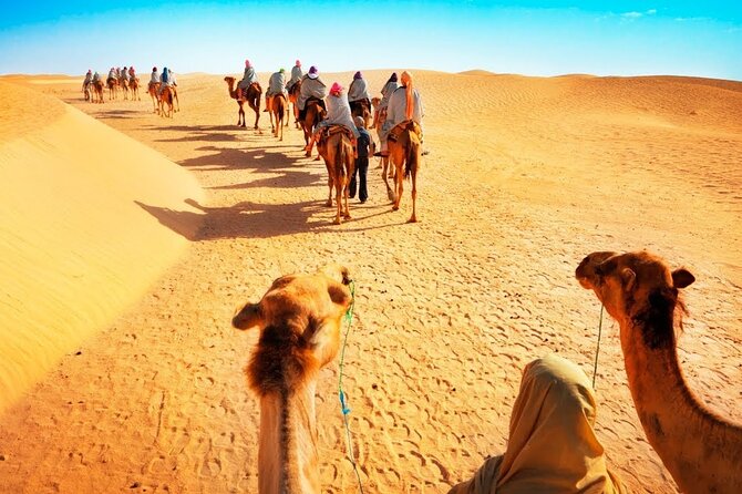 Tranquil Sands A Serene Desert Safari Experience - Is $85 a fair price?