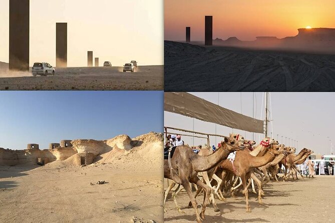West Coast and Camel Race Track Visit - Key points to know before booking