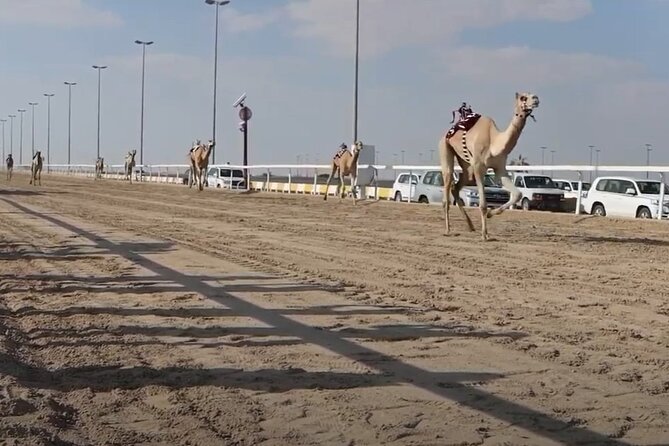 West Of Qatar, Mushroom Rocks, Camel Racing Track, Richard Serra - Mushroom Rocks: natural shapes in an open desert