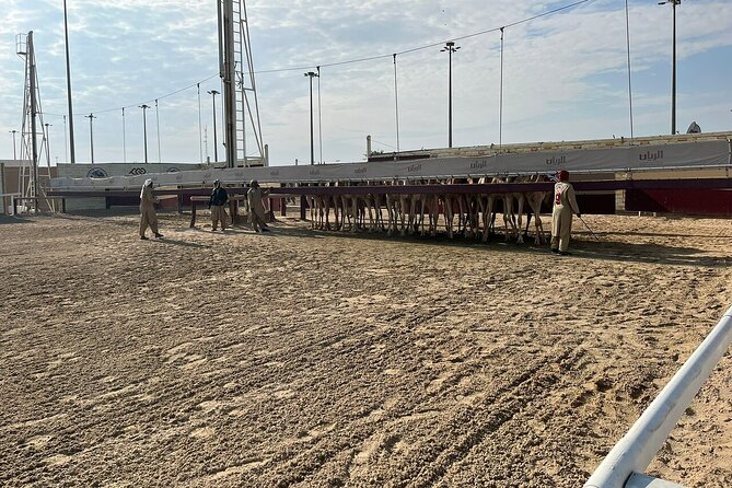 West Of Qatar, Mushroom Rocks, Camel Racing Track, Richard Serra - Richard Serra’s East-West/West-East