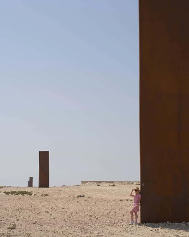 West of Qatar Richard Serra, Mushroom Hills, CamelRace track - Is $49 a fair price?
