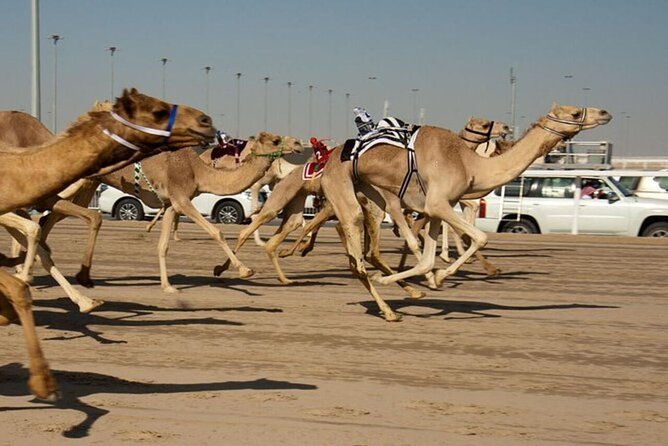West Of Qatar Richard Serra sculpture, Mushroom Hills,Camel track - What the private setup changes